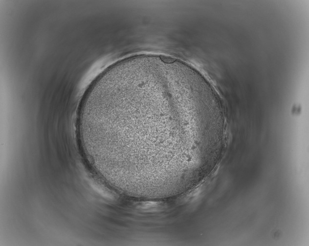 X0000091650151200709061006