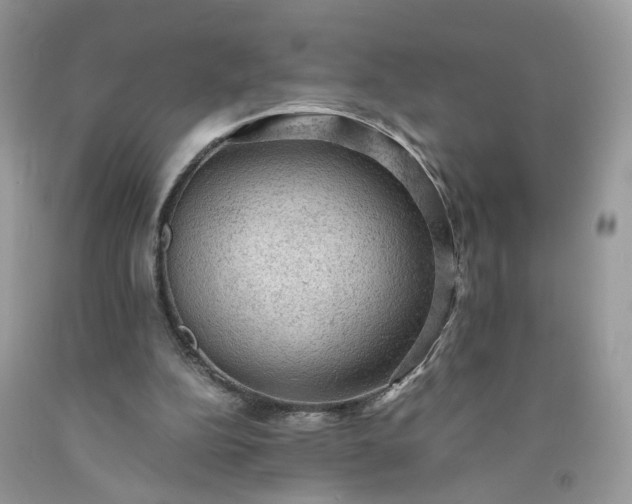 X0000091650152200709061006