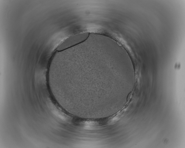 X0000091650154200709061006