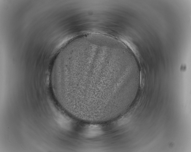 X0000091650157200709061006