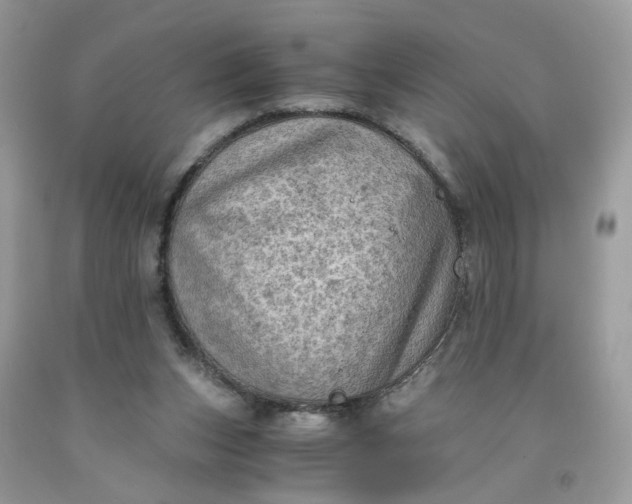 X0000091650159200709061006