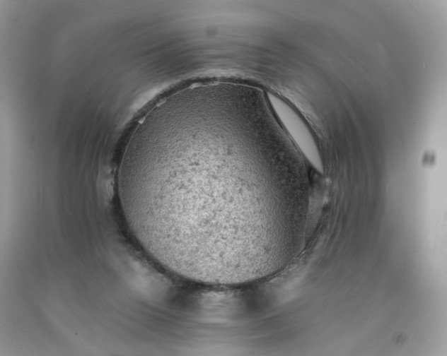 X0000091650160200709061006