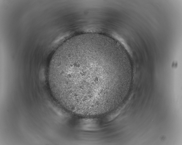 X0000091650161200709061007