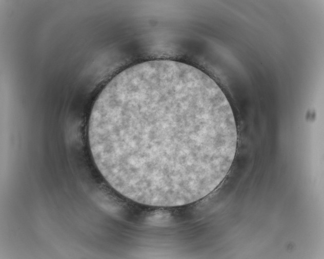 X0000091650162200709061007