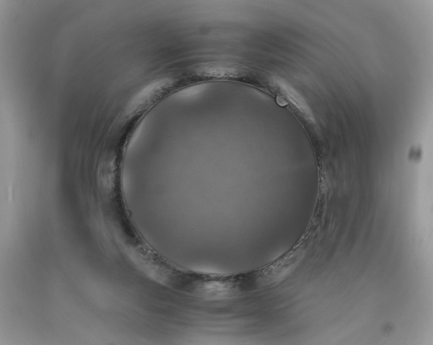 X0000091650163200709061007