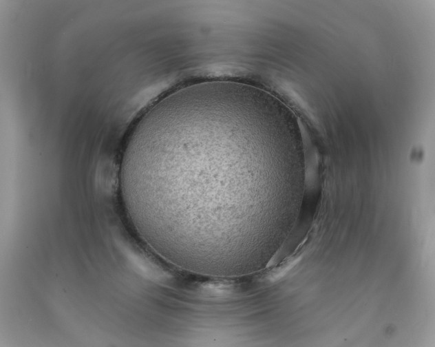 X0000091650164200709061007