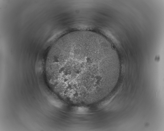 X0000091650165200709061007