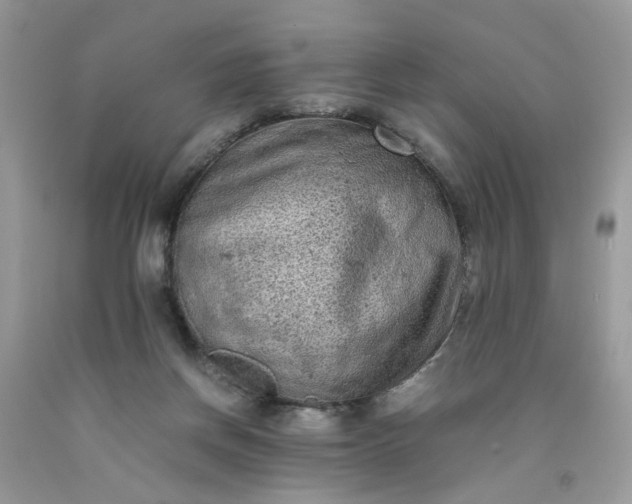 X0000091650166200709061007