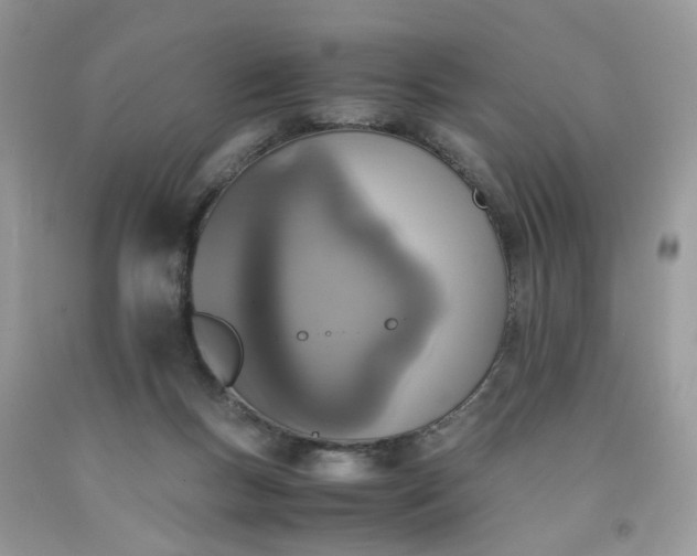 X0000091650167200709061007