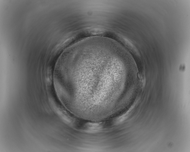 X0000091650170200709061007