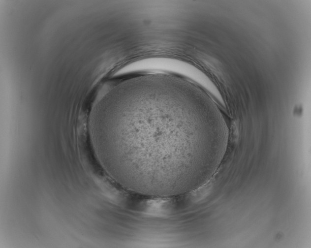 X0000091650172200709061007