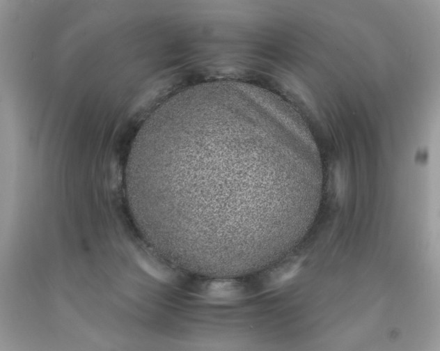 X0000091650173200709061007