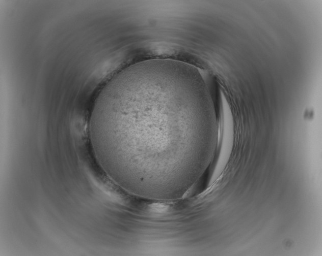 X0000091650176200709061007