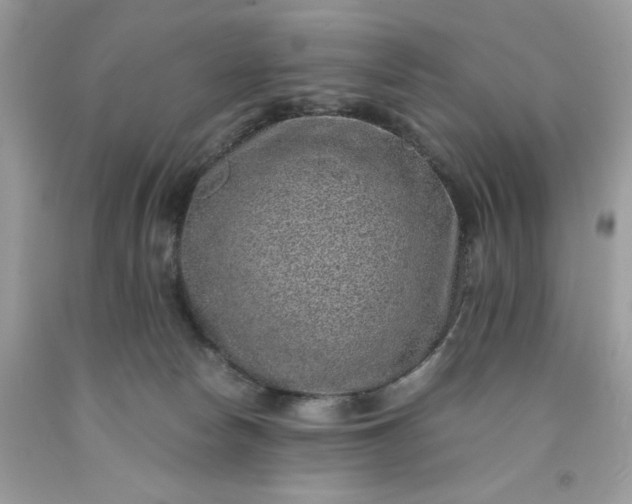 X0000091650178200709061007