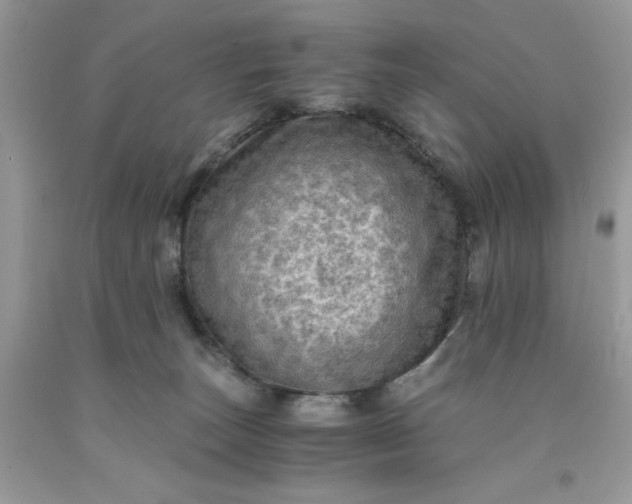 X0000091650179200709061007