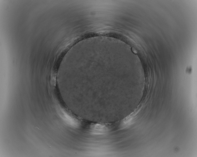 X0000091650180200709061007