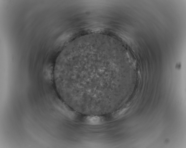 X0000091650181200709061007