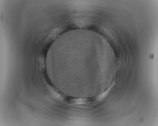 X0000091650182200709061007