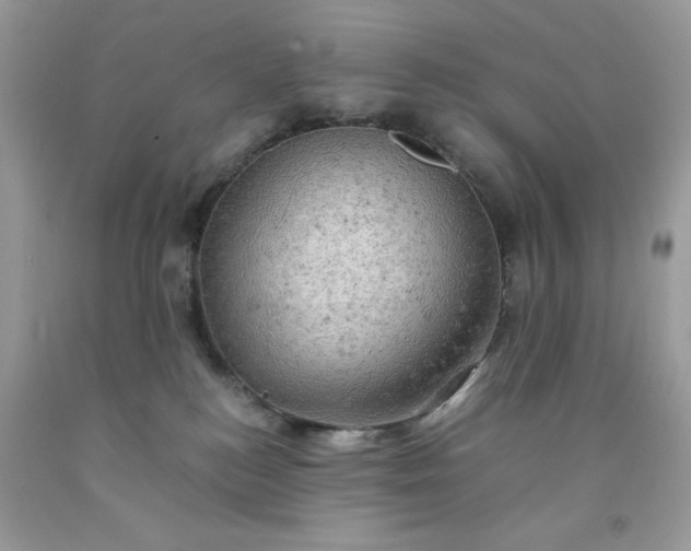 X0000091650184200709061007