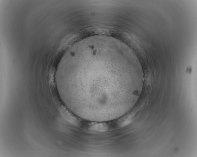 X0000091650185200709061007