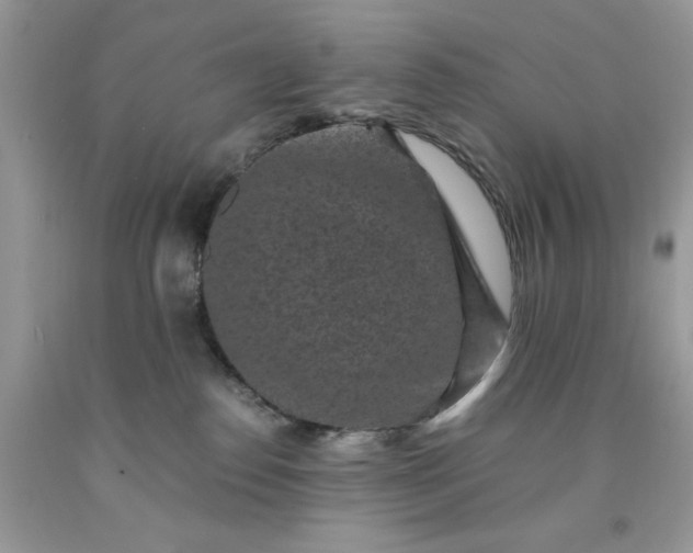 X0000091650186200709061007