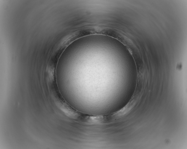 X0000091650188200709061007