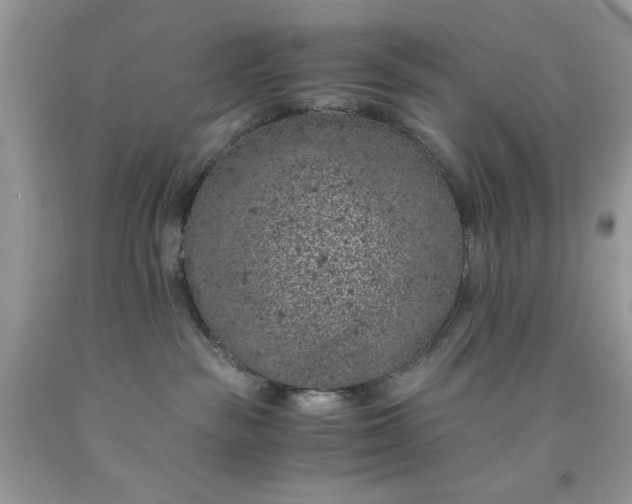 X0000091650189200709061007