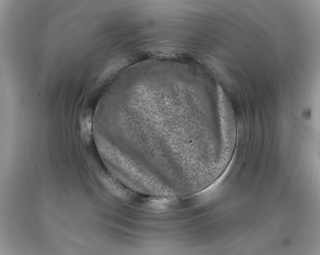 X0000091650190200709061007