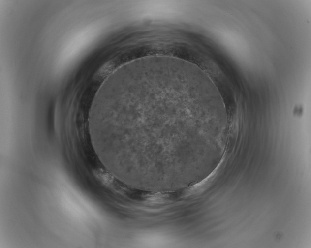 X0000091650191200709061007