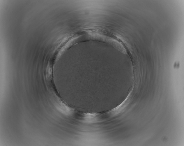 X0000091650192200709061007