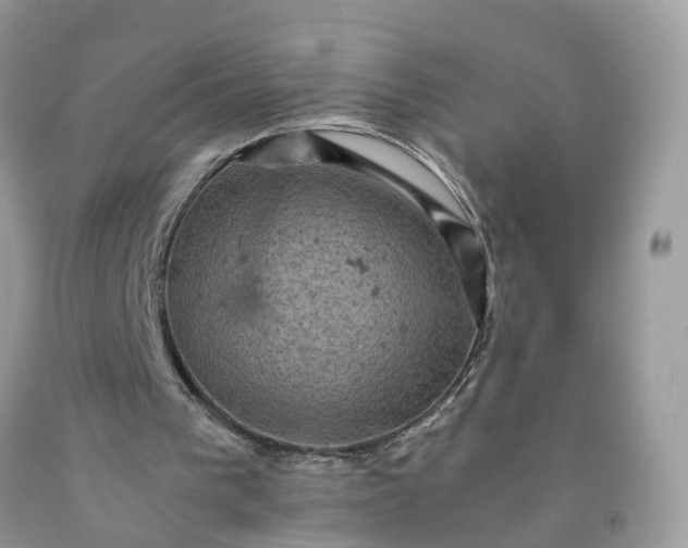 X0000091650193200709061006