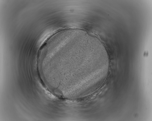 X0000091650194200709061006