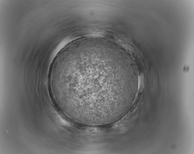 X0000091650195200709061006