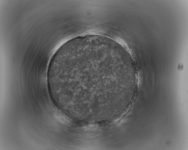 X0000091650196200709061006