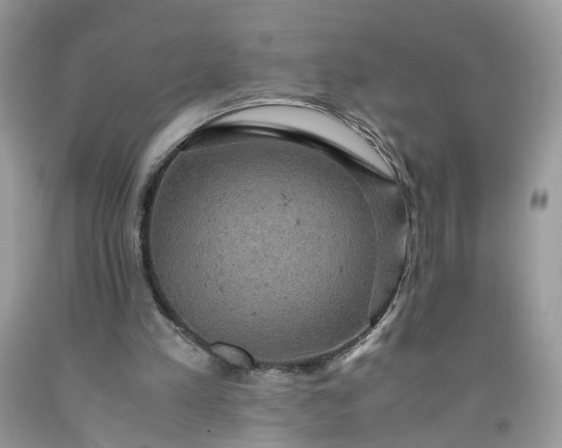 X0000091650197200709061006