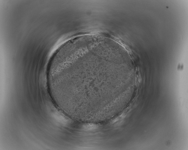 X0000091650198200709061006