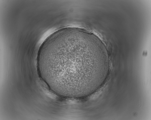 X0000091650199200709061006