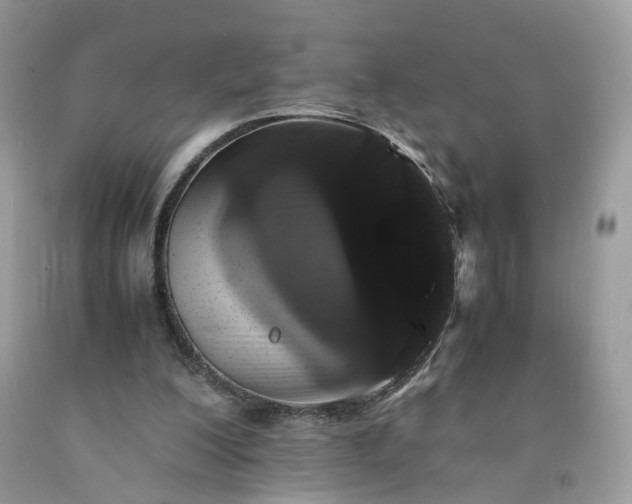 X0000091650200200709061006