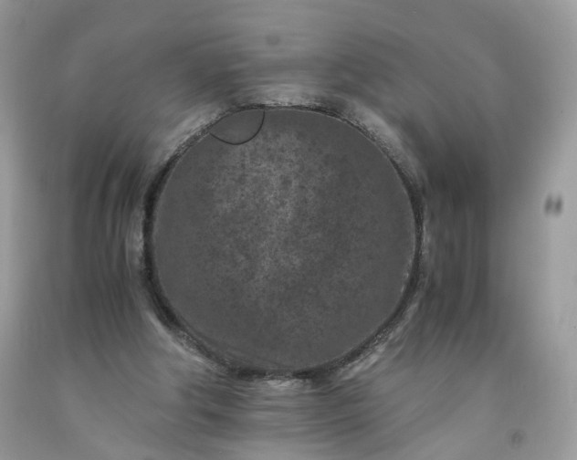 X0000091650202200709061006