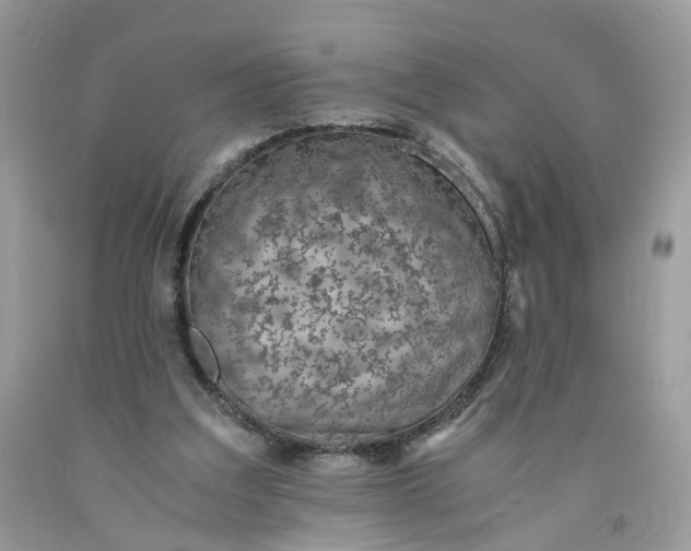 X0000091650203200709061006