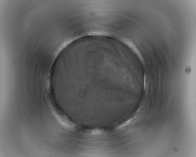 X0000091650204200709061006