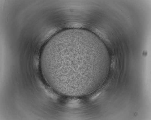 X0000091650206200709061006