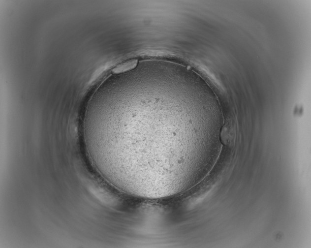 X0000091650207200709061006