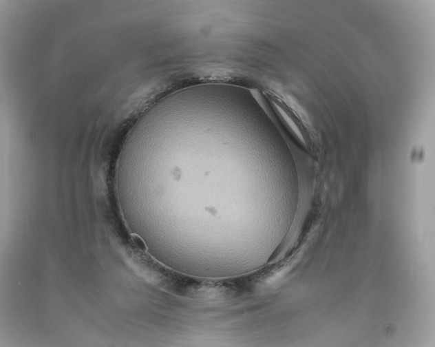 X0000091650209200709061006