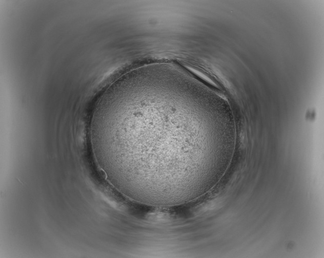 X0000091650211200709061006