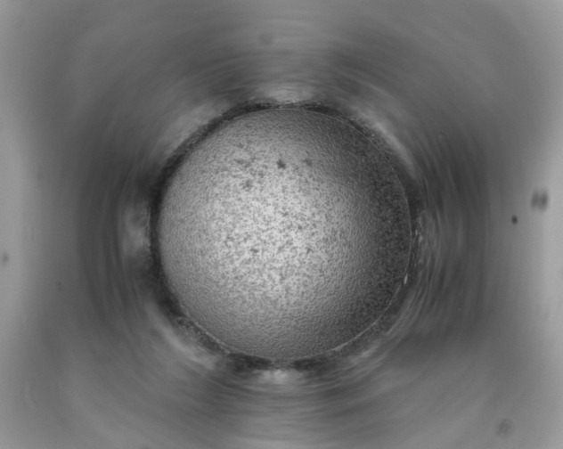 X0000091650212200709061006