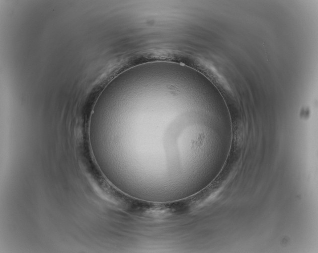 X0000091650213200709061006