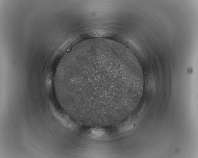 X0000091650214200709061006