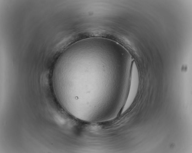 X0000091650217200709061006