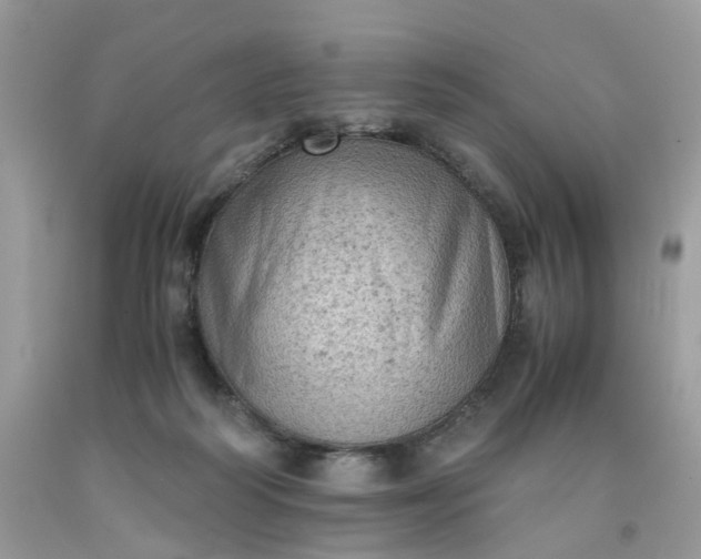 X0000091650218200709061006